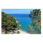 Vakantiehuis 3 Bedroom Beautiful In Falerna